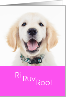 Cute I Love You Dog Ri Ruv Roo card