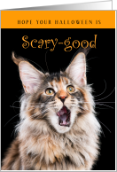 Funny Scary Good Halloween Cat card