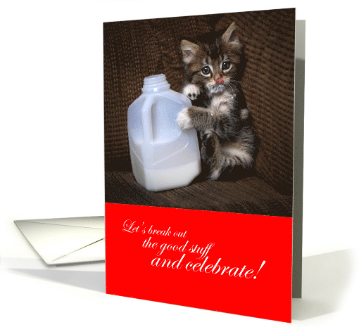 Funny New Year's Cat - Let's Break out the Good Stuff card (1552514)