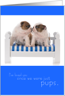 Anniversary Since We Were Just Pups card