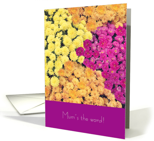 Mums the Word Happy Fall card (1649158)