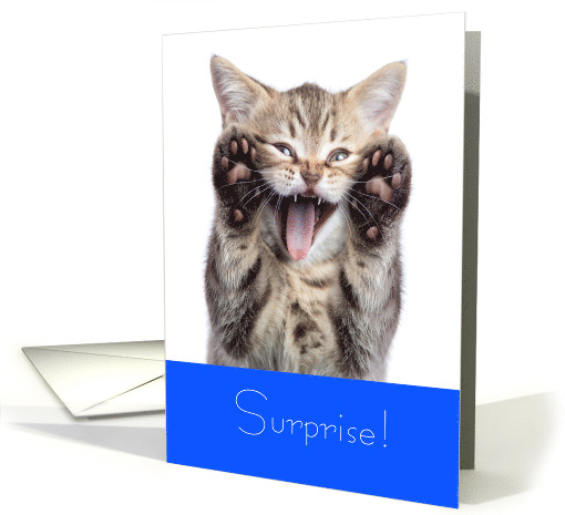 Surprise Kitten Happy Birthday card (1655178)