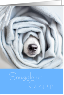 Snuggle Up Cozy Up Feel Better Soon Cute Dog card