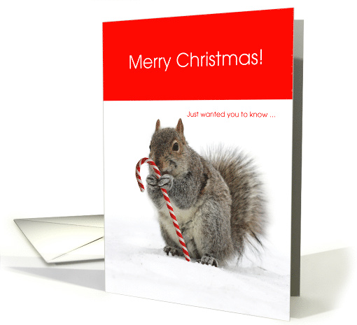 Funny Merry Christmas Squirrel Bird Feeder Skills On Point card