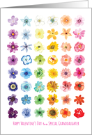 Grid of Lovely Flowers in Every Color Possible Granddaughter Valentine card