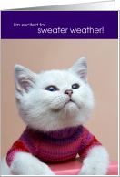 Excited for Sweater Weather Kitten Happy Fall card