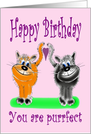 Birthday Cartoon Style Fluffy Cat Couple card