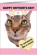 Funny Cat Happy Mother’s Day to Someone Like a Mom card