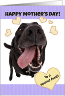 Funny Dog Happy Mother’s Day to a Special Aunt card