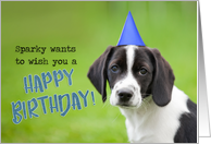Happy Birthday Puppy Humor card