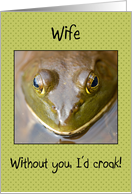 I’d Croak Without You Wife Frog Happy Anniversary card