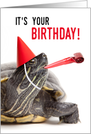 Turtle-y Awesome Happy Birthday card