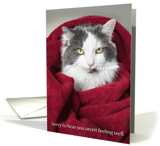 Get Well Soon Cute Cat in Blanket card (1521660)