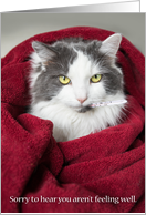 Get Well Soon Cute Cat in Blanket card