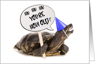 Turtle Happy Birthday Humor card