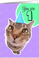 Happy First Birthday Kitty Cat card