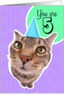 Happy Fifth Birthday Kitty Cat card