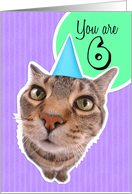 Happy Sixth Birthday Kitty Cat card