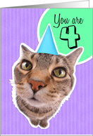 Happy Fourth Birthday Kitty Cat card