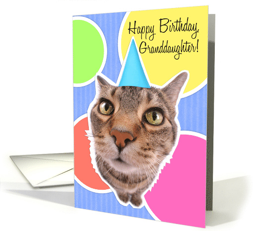 Happy Birthday Granddaughter Cute Kitty Cat card (1522394)