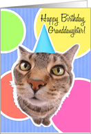 Happy Birthday Granddaughter Cute Kitty Cat card