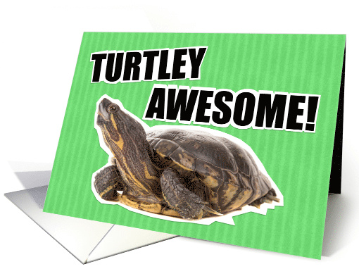 Turtley Awesome Congratulations card (1522522)