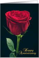 Happy Anniversary Beautiful Red Rose card