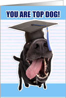 Congratulations Graduate You Are Top Dog card