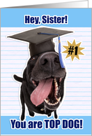 Congratulations Sister Graduate You Are Top Dog card
