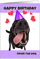 Happy Birthday From The Dog card
