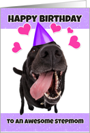 Happy Birthday Dog to an Awesome Stepmom card