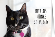 Happy Birthday Humor Cat Thinks 65 is Old card