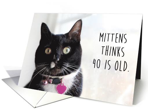 Happy Birthday Humor Cat Thinks 40 is Old card (1525198)