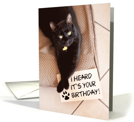Happy Birthday From the Cat Humor card (1526740)