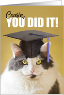 You DId it Cousin Graduation Cute Cat in a Grad Cap card