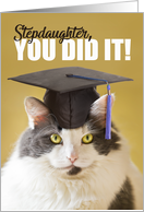 You DId it Stepdaughter Graduation Cute Cat in a Grad Cap card