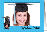 Congratulations Graduate Dog in Cap Customizable Photo card