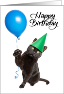 Happy Birthday For Anyone Cat Holding Balloon card