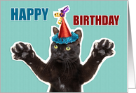 Happy Birthday for Anyone Dancing Cat Humor card