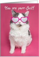 Happy Birthday You are Purr-fect Cat in Glasses Humor card