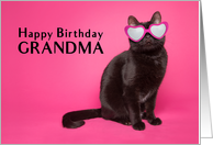 Happy Birthday Grandma Cute Cat in Sunglasses card