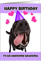 Happy Birthday Grandma Funny Black Lab Dog Humor card