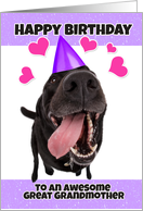 Happy Birthday Great Grandmother Funny Black Lab Dog Humor card
