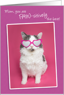 Happy Birthday Mom You are PAW-sitively the Best Cat Humor card