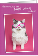 Happy Birthday Grandma You are PAW-sitively the Best Cat Humor card