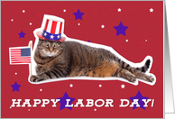 Happy Labor Day Patriotic Kitty Cat Humor card