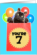 Happy 7th Birthday Cat’s Out of the Bag You’re 7 Humor card