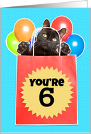 Happy 6th Birthday Cat’s Out of the Bag Humor card