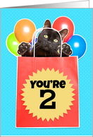 Happy 2nd Birthday Cat’s Out of the Bag Humor card