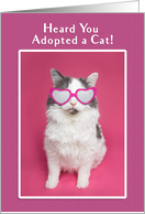 Congratulations on Adopting a Cat Humor card